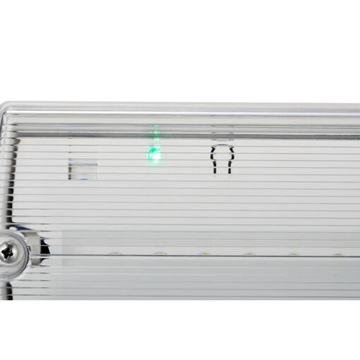 LiFeSafe Bulkhead IP65, väggmonteras, 3W, 150lm, 6500K, CR80, vit, 3H, Självtest - Bild 6
