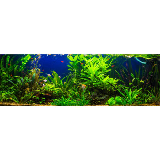 T5 Aquastar HO, 24W, 1120lm, 550mm - Bild 4