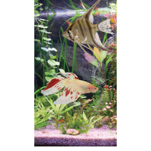 T5 Aquastar HO, 24W, 1120lm, 550mm - Bild 5