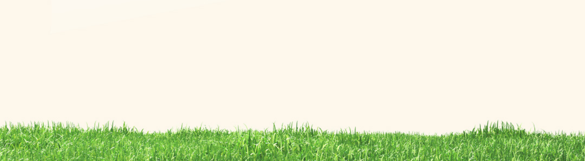 footer-grass