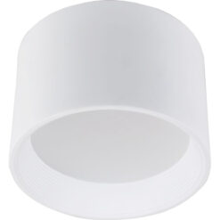 Antlia C, D200mm, ytmonteras, 12W, 1261lm, 3000K, CR80, opal, ONOFF, vit
