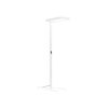 Areum Floor, golvlampa, H2000mm, 94W, 13700lm, 4000K, direkt/indirekt, ONOFF
