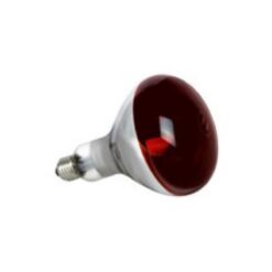 Infrared R125 , E27, 250W